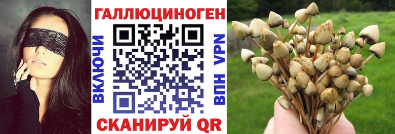 Псилоцибиновые грибы Magic Shrooms Лениногорск